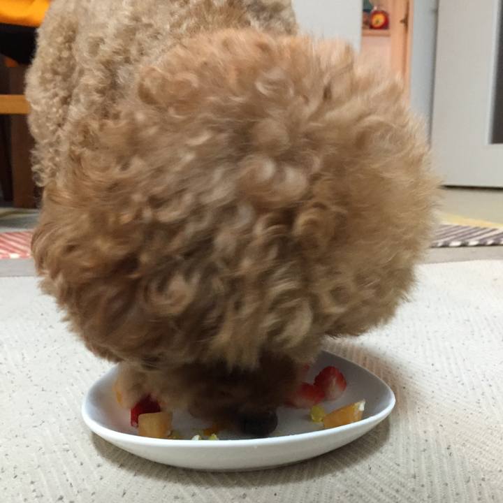 7fe55595 bb14 49cf 9937 af0eb8f72fd6