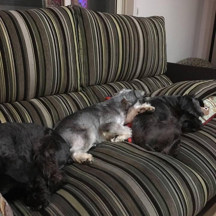 7fe567c0 2b56 47bc a0b5 5e7f13cc0346