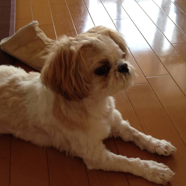 7fe5d483 1750 4b08 b9ff 55e93e06c723