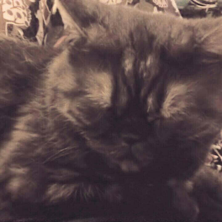 7fe5f616 e69d 44d3 a3ea 233cffc54a82