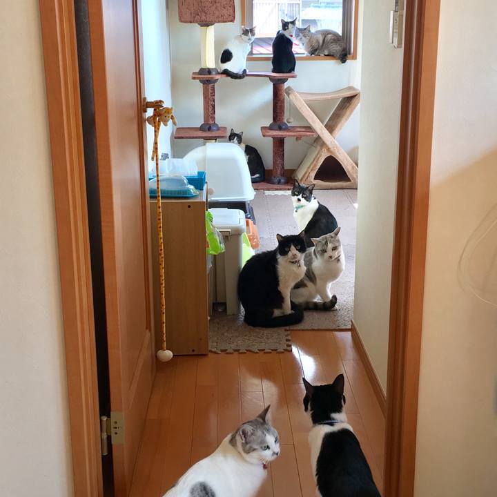 7fe6050c e558 4a81 ad8d ebbaa980be1f