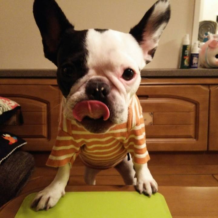 7fe613be 9d7d 42ad 912e 84c1368995cd