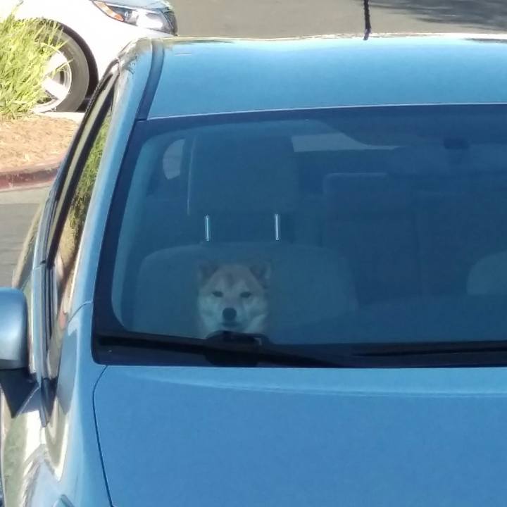 7fe6320a d971 45e7 bc4e 73c11d502aaf