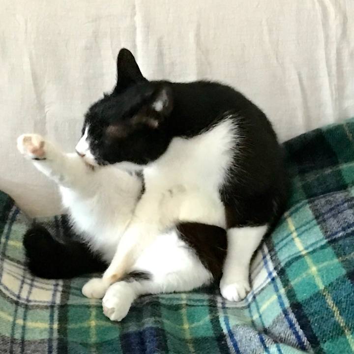 7fe670f1 c152 434f a638 1aa1cfefcdf8