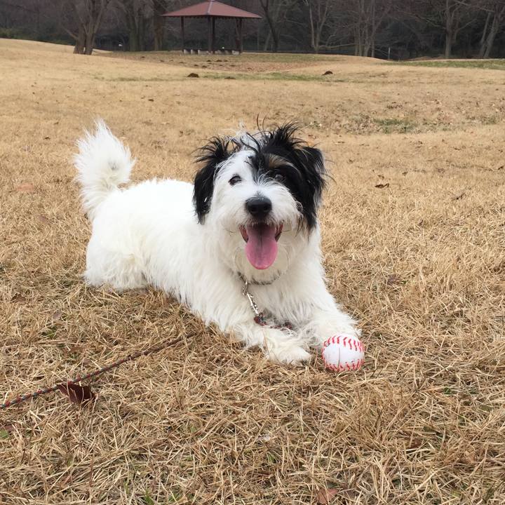 7fe67ad1 421f 4d9c 8b42 0ccb42fd52fb