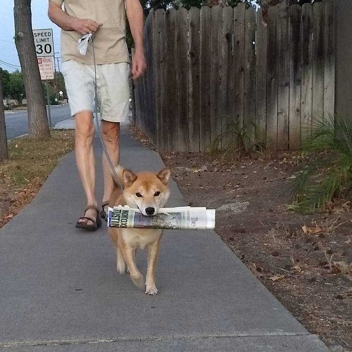 7fe6946d 81c3 4a11 bbe6 1fe0314de9a6