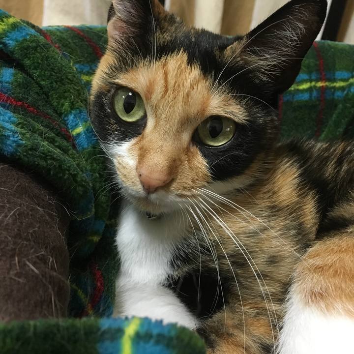 7fe72cd9 06b8 4337 981e caf1be404ab6