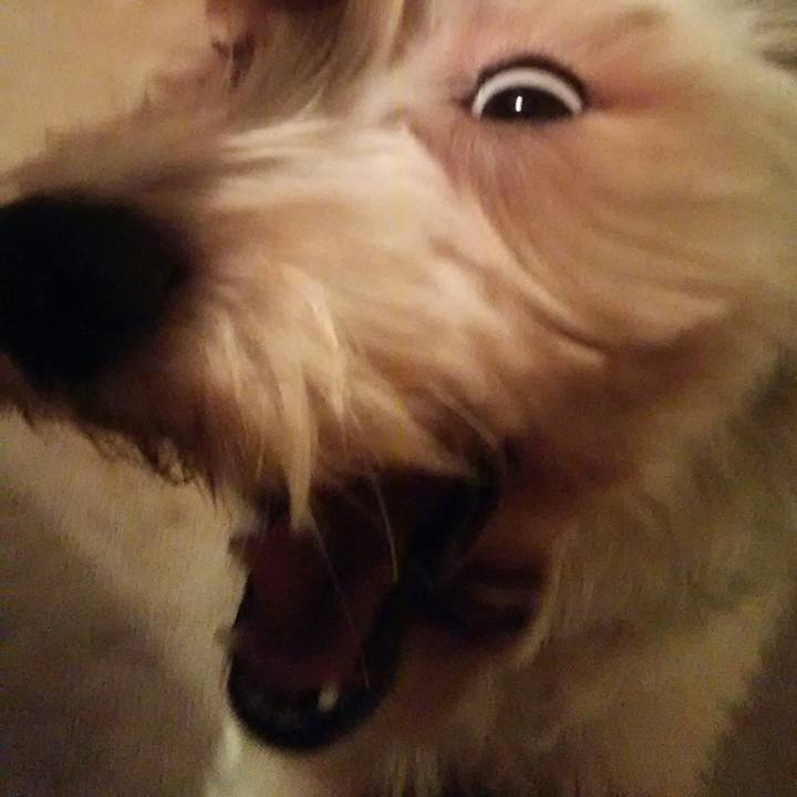 7fe78e2c 7f38 4fdb 9de9 176e50a17f81