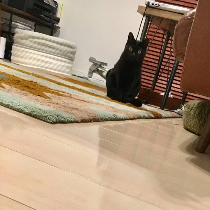 7fe7d1a9 32b7 4004 b515 e2503ddfdc69