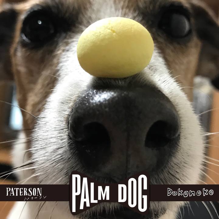 7fe7fe91 a786 454d 912a b66d305144a5