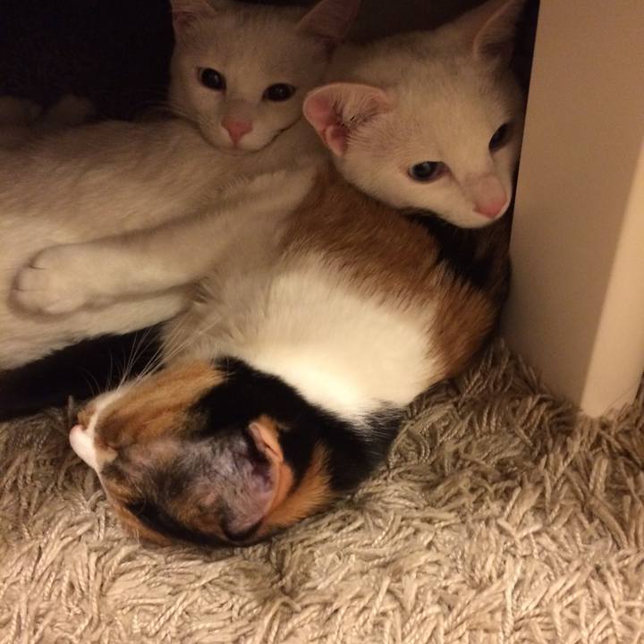 7fe8f9d1 f1db 4f5b 946b 5d2fdd0e997c