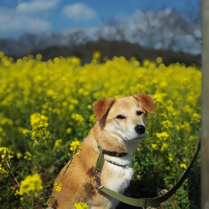 7fe926e6 a994 430e 8aa7 80e5a62017af