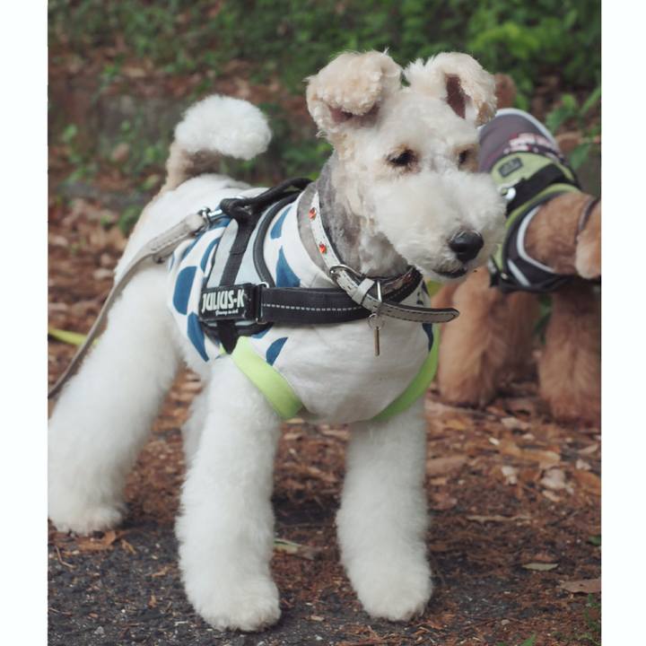 7fe94ffb 8d84 455f 99fd 68f23f799acf