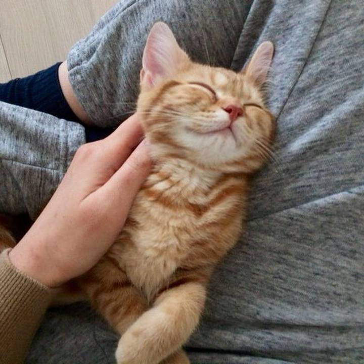 7fe95bb2 8284 4967 914b 4c94d1cf99d5