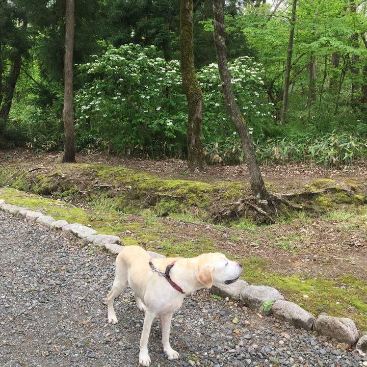 7fe97e23 8bf1 4bc7 bcfd 5365c81606f3