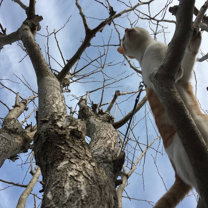 7fe98406 c538 4f93 8bf4 080274a24075