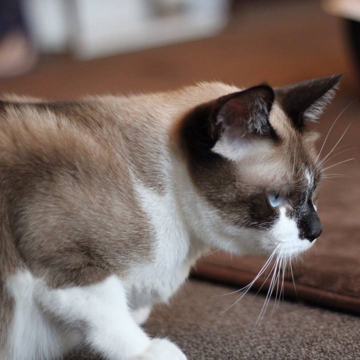 7fe9a518 6f54 44e4 8cf6 811660c88117