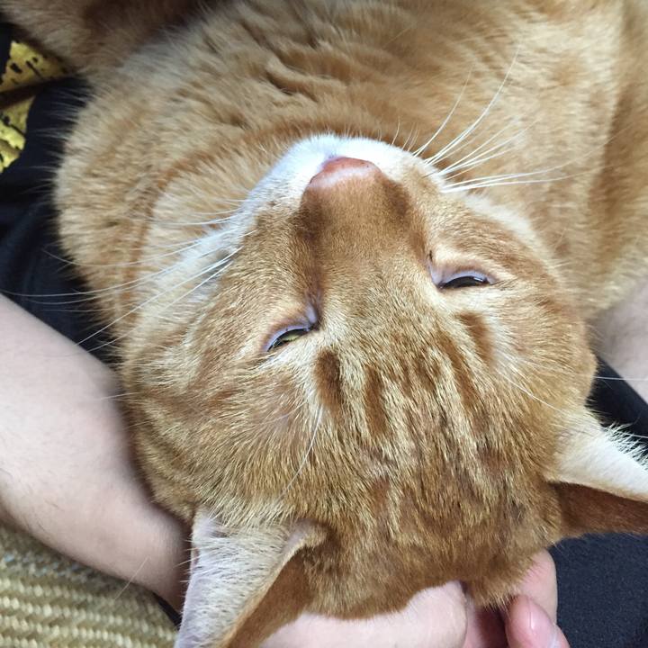 7feb7df5 34a8 4b21 a084 d0497c48bebf