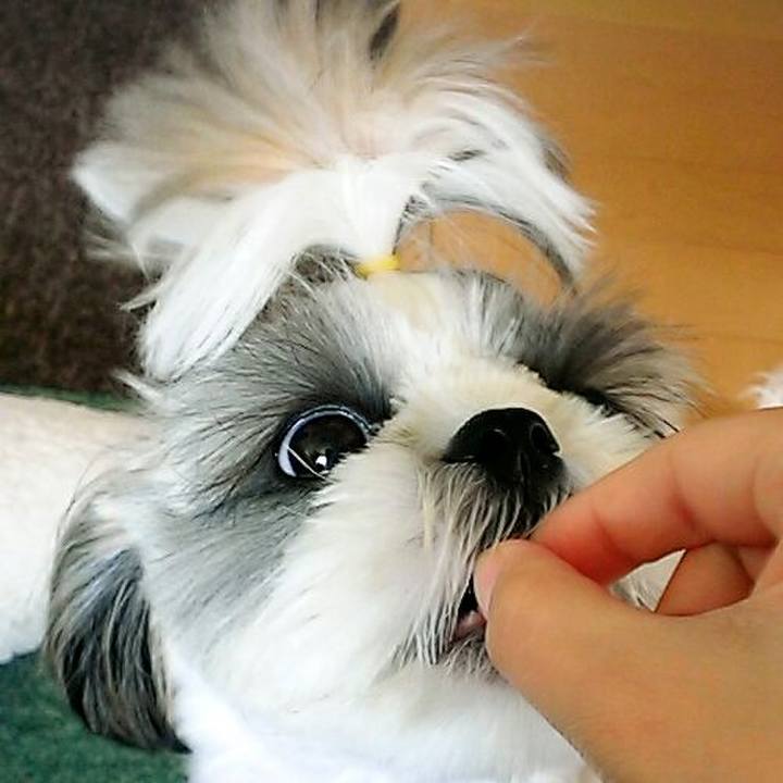 7fec09cd 2329 4393 b1ab 3ae1f2e722a9