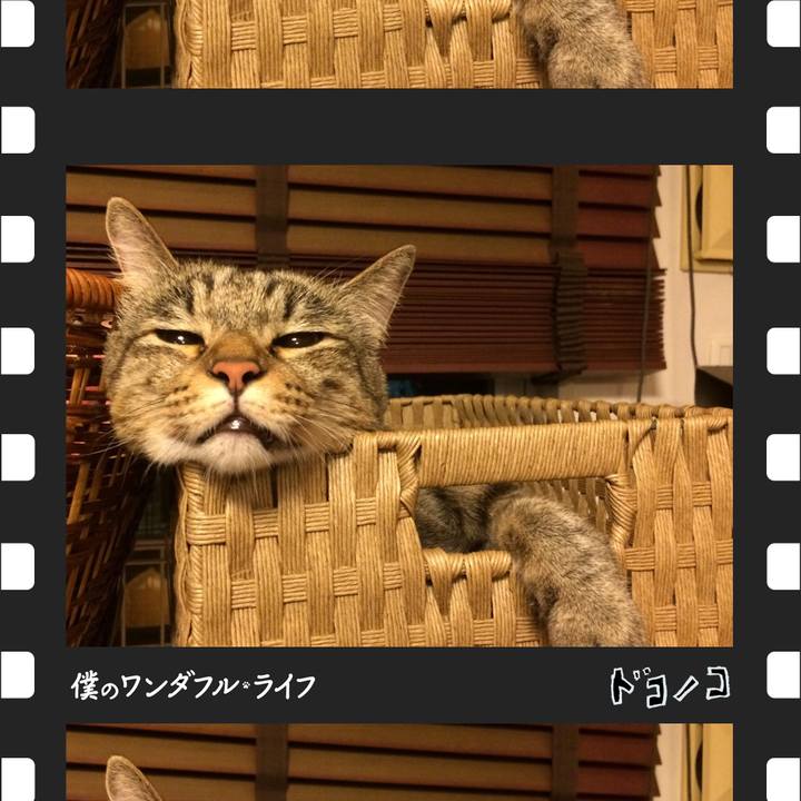 7fec3bd5 1987 4af0 bc81 59811dc80b70