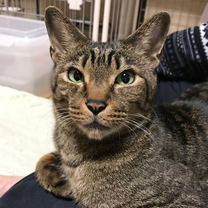 7fec54cd 6dd3 401e 8360 64957f9bfe31