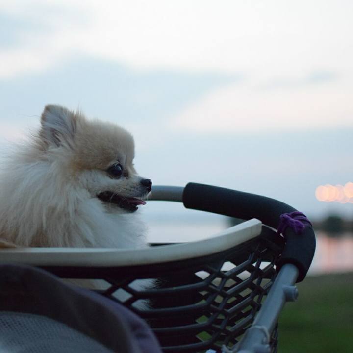 7fecf4c5 8104 42a0 9a46 61b03943ccf3