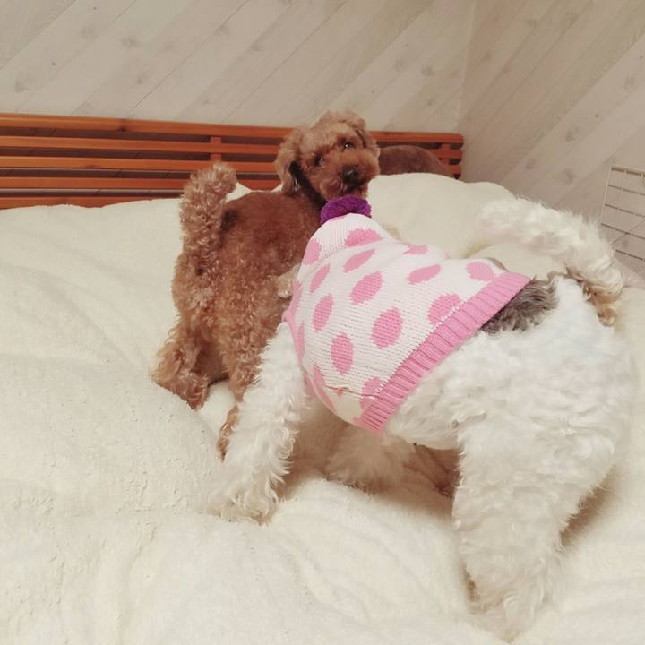 7fed4df1 bc22 4ffe 84a4 13af6c33f889