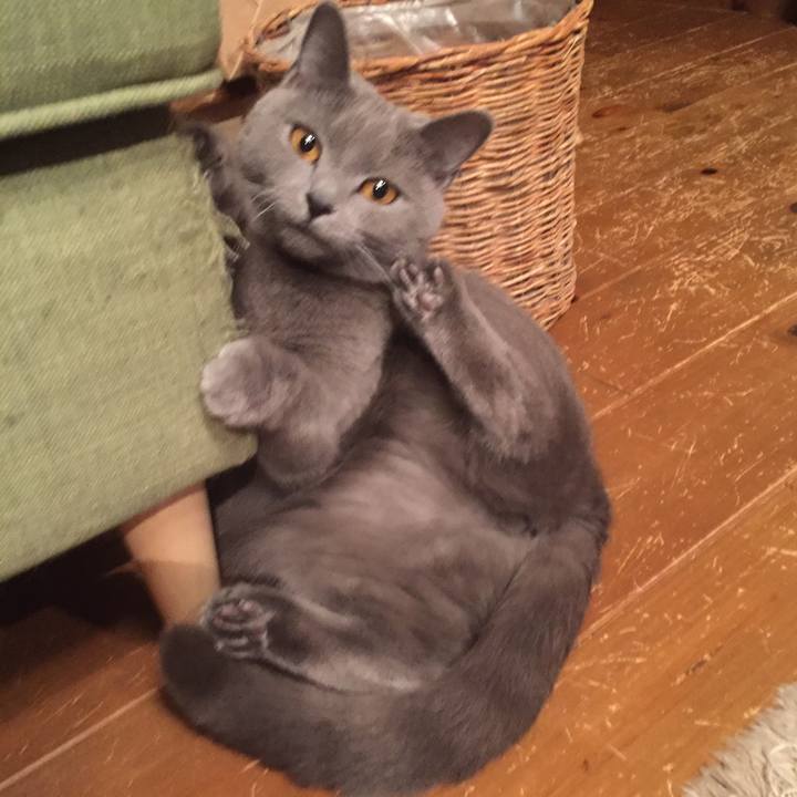 7fed97e0 7061 41c7 830e 08aacb2137e9