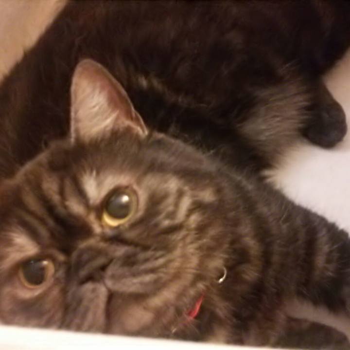 7fedd2ae 3eba 4cd2 a783 e4d9143bebc7