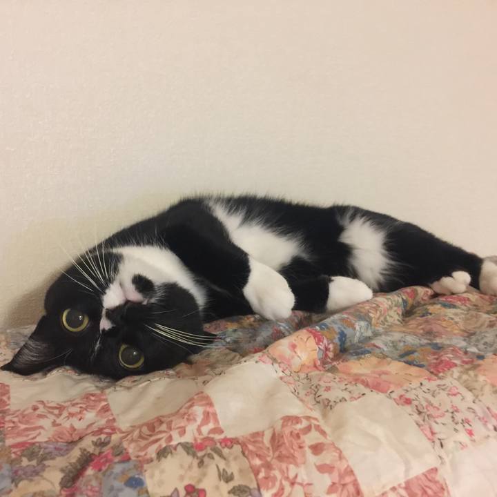 7fee4304 2539 48b3 8fbc 78ee14491777