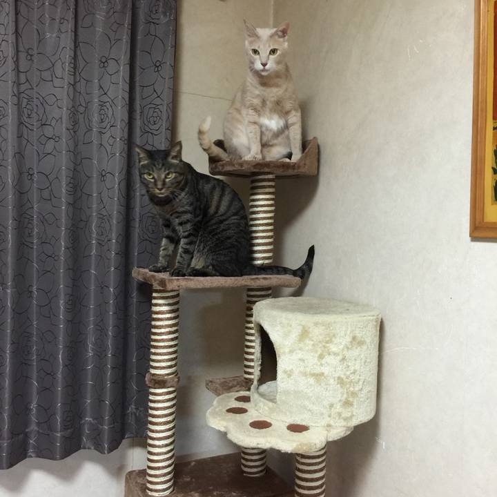 7fee78c5 3a8d 4f27 8e27 4ddc4842ad7c