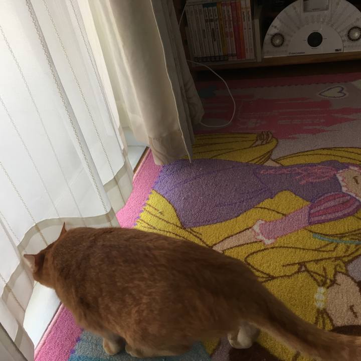 7feed316 8ce3 4c2d a1e2 eec777238169