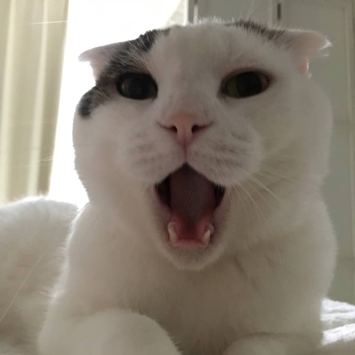 7feee0b0 3b2c 43a0 85e6 c4b4bc1acc11