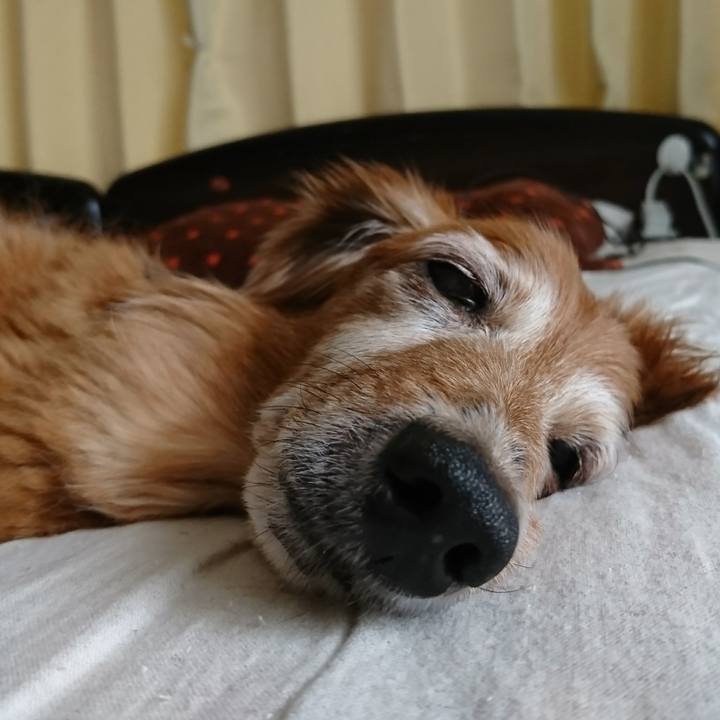 7feeea63 c168 4449 88b4 97f2eb946623