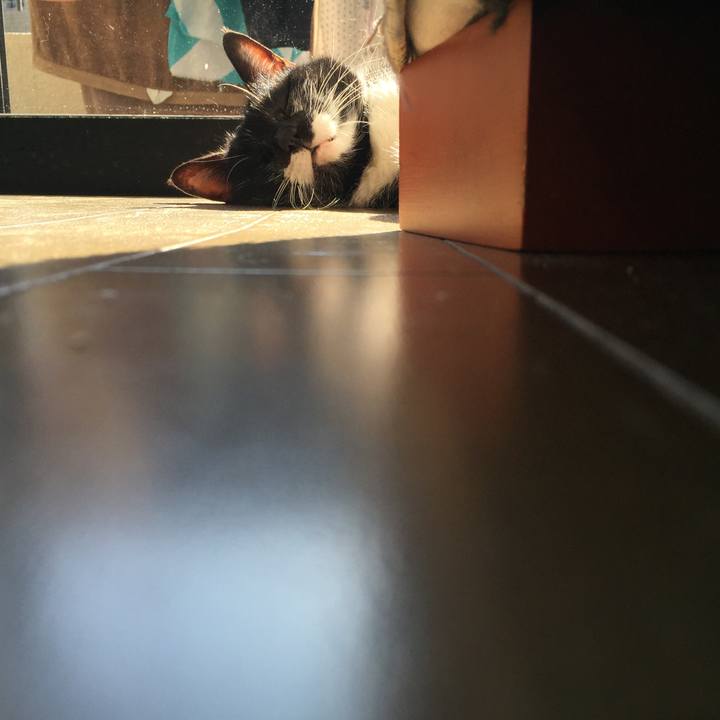 7fef1012 abc9 4dc6 bbbb 980b1dfa01e2