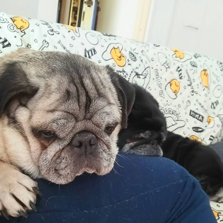 7fef846e 5179 4a23 914b 536805ffbea9