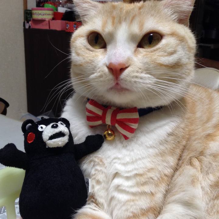 7ff005d7 8119 4776 99fd f1d0ea78d6a2