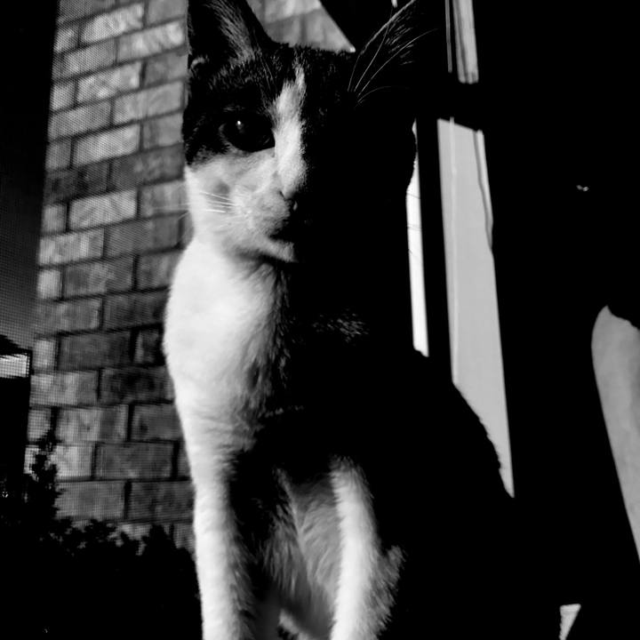 7ff02f2a c1df 49ef 9e41 ca5980b5fbdf