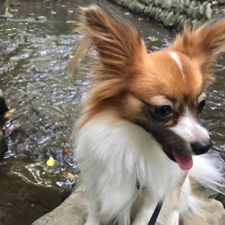 7ff0b741 f6b9 4f75 8c3a 3f11282328ce