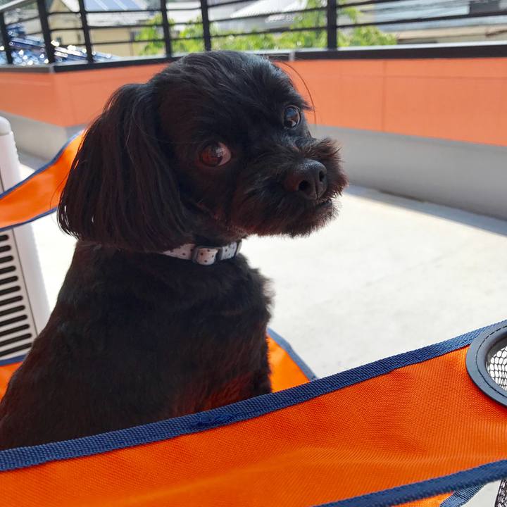 7ff10032 c622 452b afc4 0d3fa8ccb00b