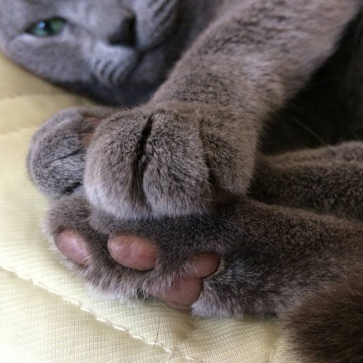 7ff2a8be 0458 446b be7b 6263b733c606