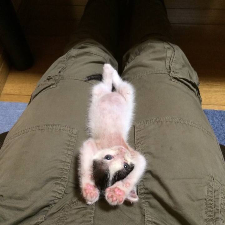 7ff2e254 bdb9 4343 b0c8 af4862cc45cb