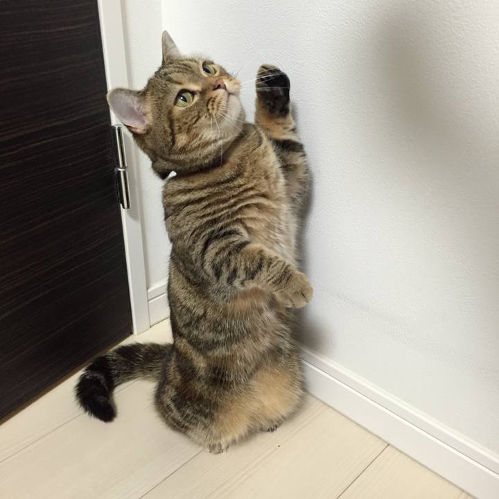 7ff32ed6 9ab9 45b3 82b5 8da9c7f03c0d