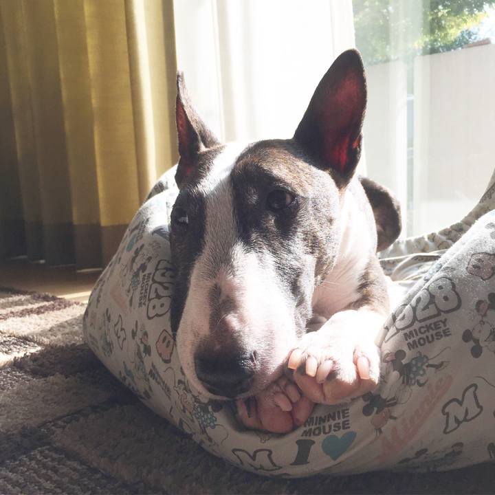 7ff3978b c602 4a73 9c99 165d35b16ecf