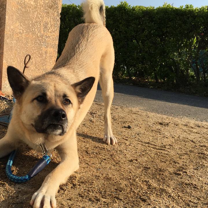 7ff399ce 35b5 44dd 996e 00090ac52874