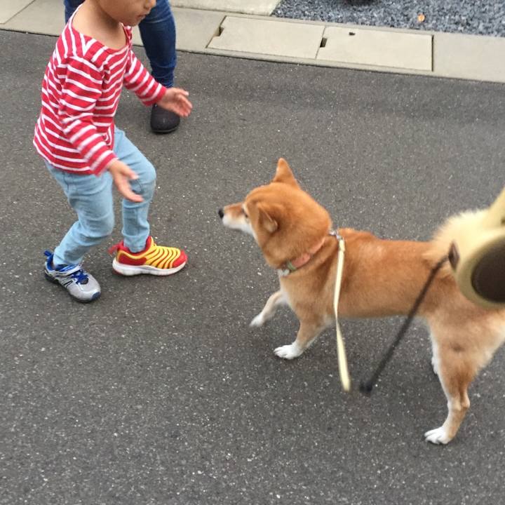 7ff431e9 0e84 4c05 8715 0c58ac7eb846