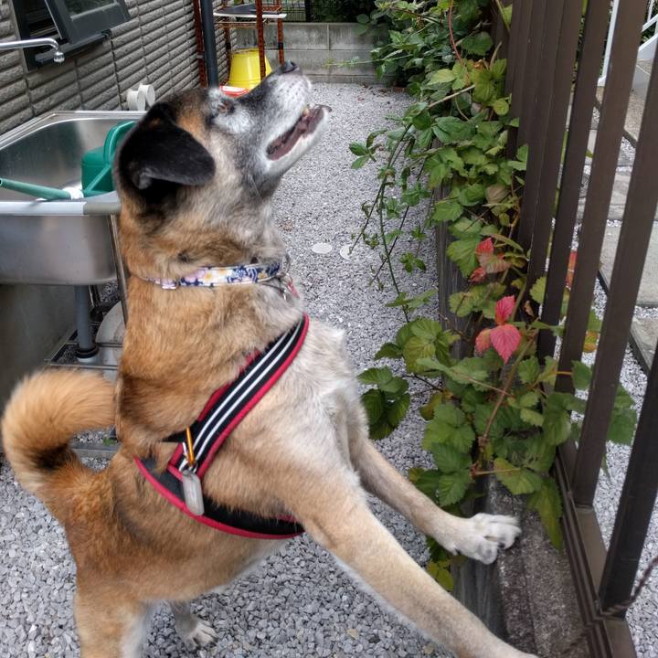 7ff557ec ff8f 4607 9cae 11c2e45adbd9