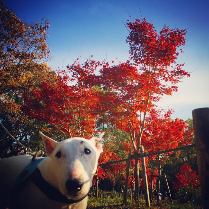 7ff5c633 bf82 4ede b1d6 c41f2e3852d0