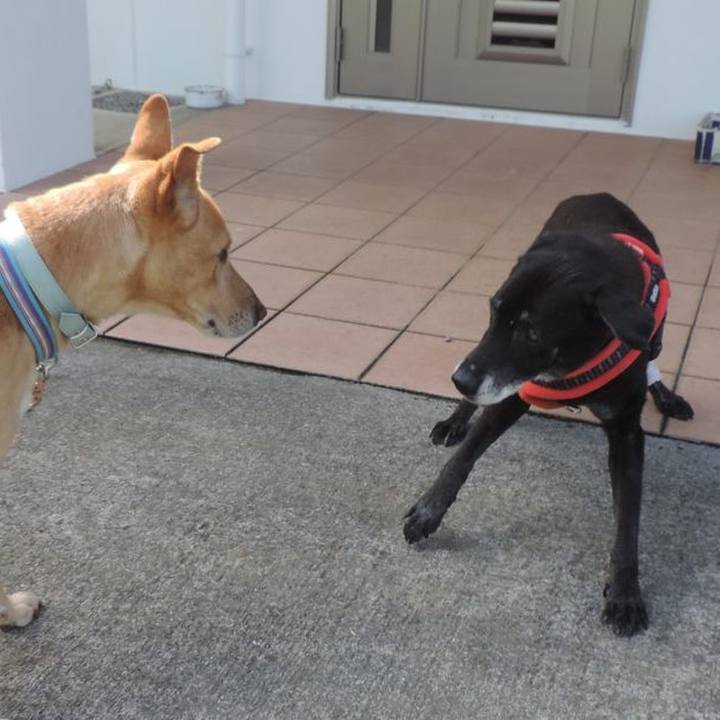 7ff5e6cc 5fa6 4cf4 81c3 1be1866034f7