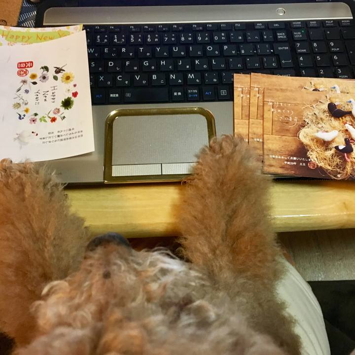 7ff68518 8c5e 40f9 8fde 52770040e427